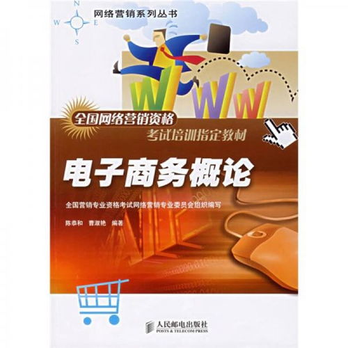 全國(guó)網(wǎng)絡(luò)營(yíng)銷(xiāo)資格考試培訓(xùn)指定教材 網(wǎng)絡(luò)營(yíng)銷(xiāo)系列叢書(shū)之《電子商務(wù)概論》與《經(jīng)營(yíng)電子商務(wù)》解析